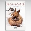 Kalendarz wieloplanszowy Przyjaciele (20szt.) - 1 Kalendarz wieloplanszowy Przyjaciele