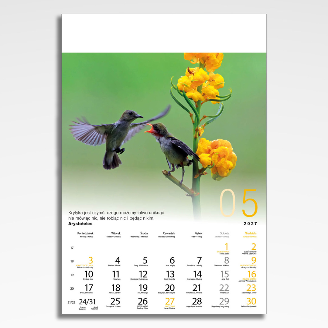 Kalendarz wieloplanszowy Inspiracje (20szt.) - 8 kalendarz wieloplanszowy inspiracje, plansza maj z grafiką tematyczną